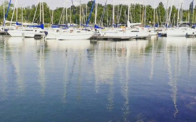 Nyári programjaink 2016.